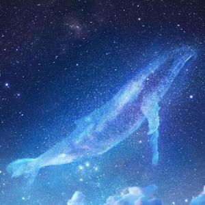 污污污污的视频
